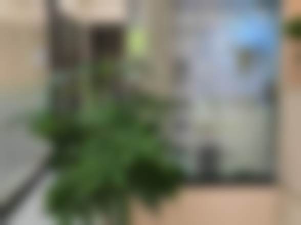 三、桂林博美口腔诊所核心科室与特色项目