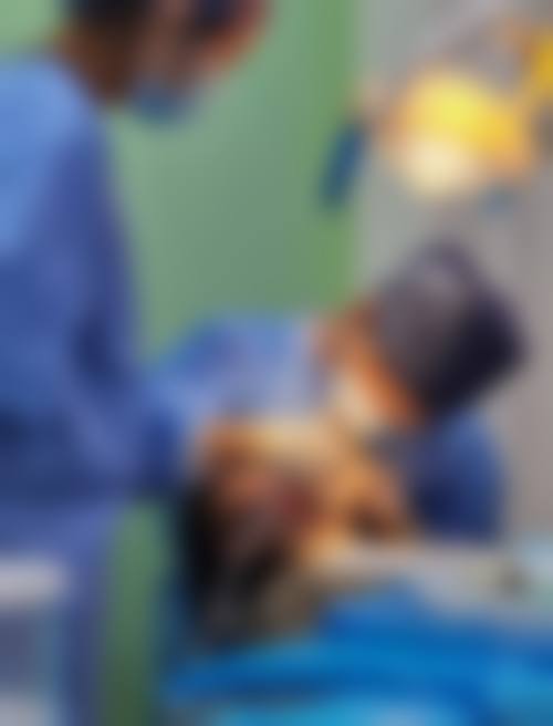 四、山东济南市中舜玉口腔设备介绍