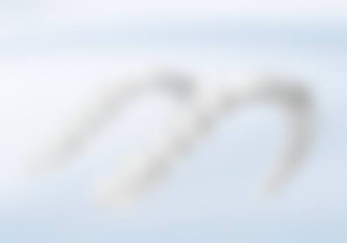 六、丹东市第一医院口腔科荣誉资质与患者口碑，见证品牌实力