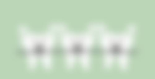 二、宁津贝壳（双碓店）医生团队，打造专精诊疗服务