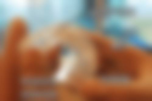 二、潍坊临朐许振江口腔医生团队，打造专精诊疗服务