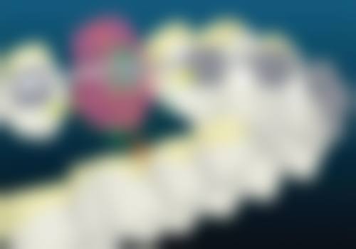 四、广东肇庆怀集宝盛口腔设备介绍