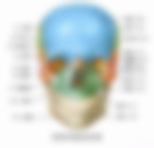 五、盐城辰笑口腔门诊部舒适就医环境，打造人性化诊疗体验