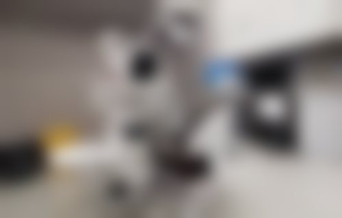 穿颧穿翼高难度种植的优缺点分析及适应人群