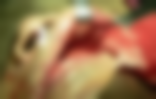 五、徐州方华时代口腔舒适就医环境，打造人性化诊疗体验