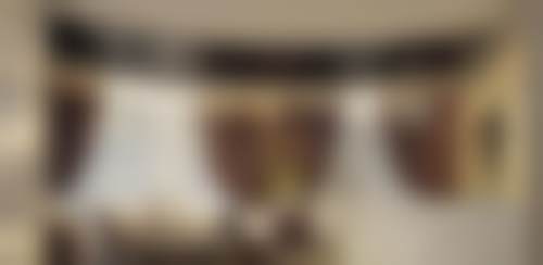 二、惠城瑞芙臣口腔门诊部医生团队，打造专精诊疗服务