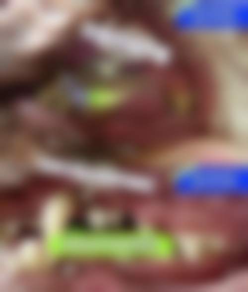 二、上海久久口腔·齿科门诊(曹路店)医生团队，打造专精诊疗服务