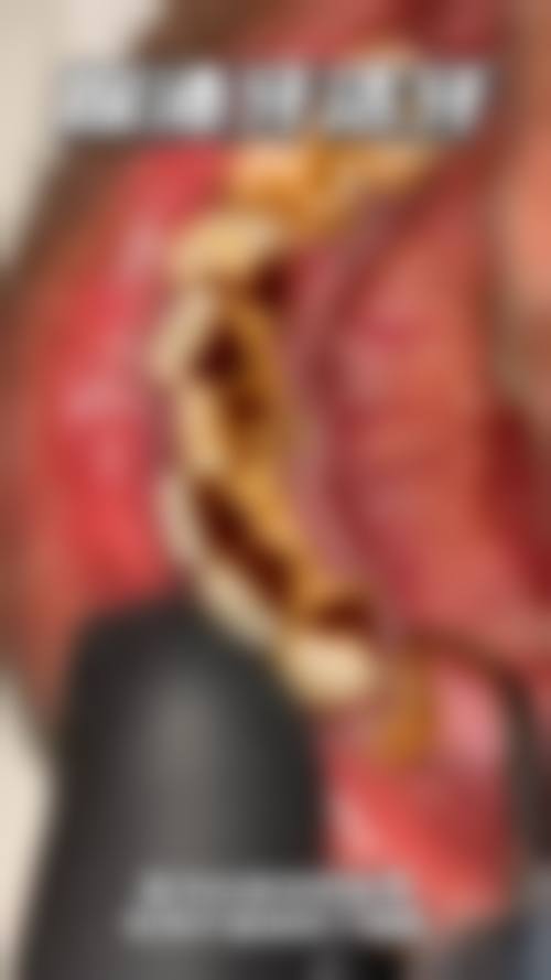 五、广东梅州五华展波口腔舒适就医环境，打造人性化诊疗体验