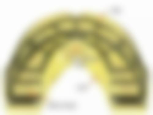 六、江苏扬州菲特口腔门诊部荣誉资质与患者口碑，见证品牌实力