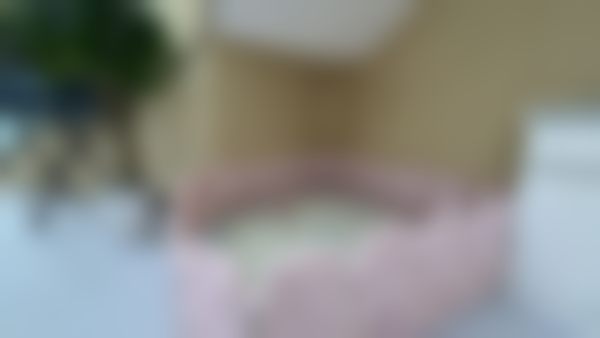 舒适化微创种植牙的优缺点分析及适应人群