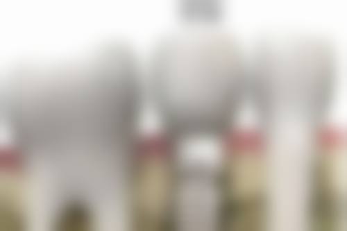 二、东莞寮步博朗口腔门诊部医生团队,打造专精诊疗服务