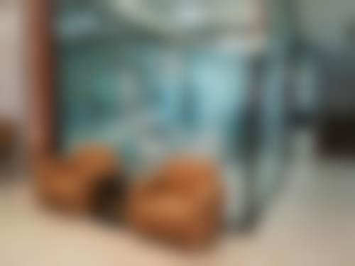 七、沧州市运河区万泰口腔诊所就医指南，便捷就诊不迷路