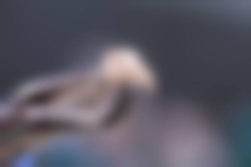 二、西安优德口腔门诊部(彬州店)医生团队，打造专精诊疗服务