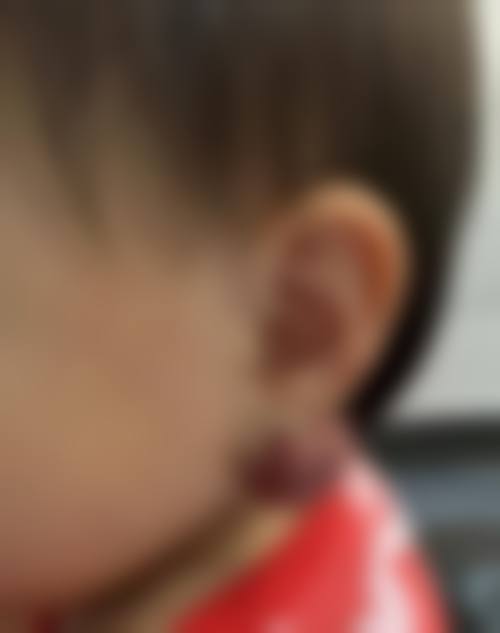 仪器设备与正版保护
