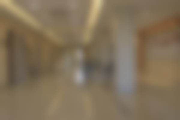 具有影响力资质与正规实力解析