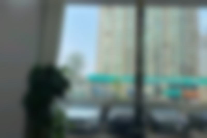 核心项目介绍:技术与艺术的理想结合