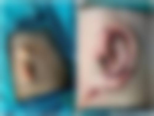 总结与预约指引