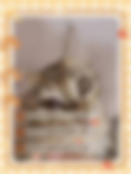 擅长项目详解:桂平市人民医院眼科李标文的技术专长