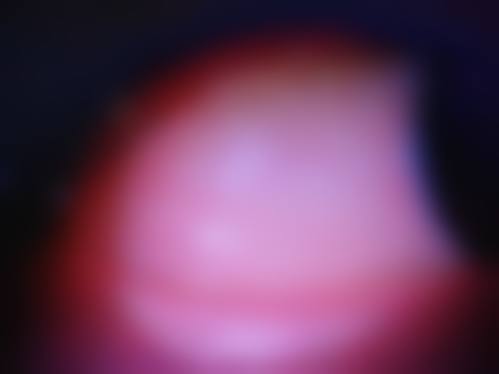 结语与预约指引