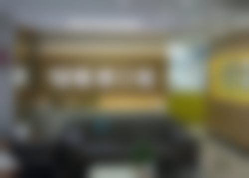 擅长项目详解:精细修复方案