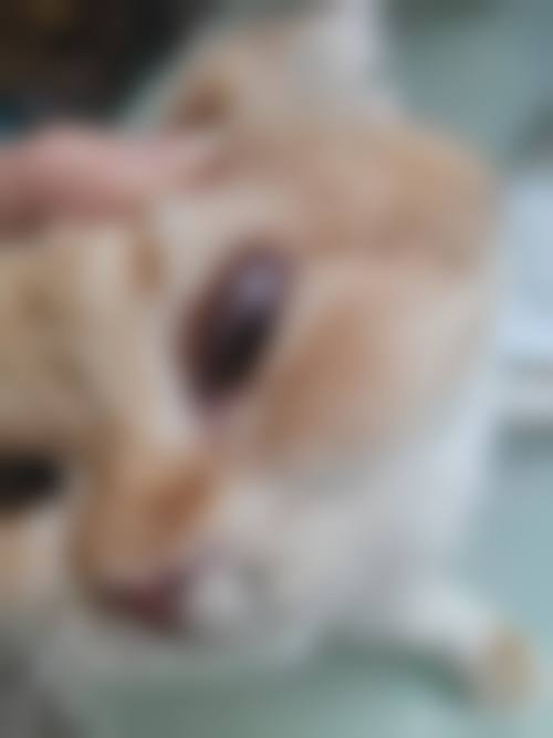常见问题解答FAQ