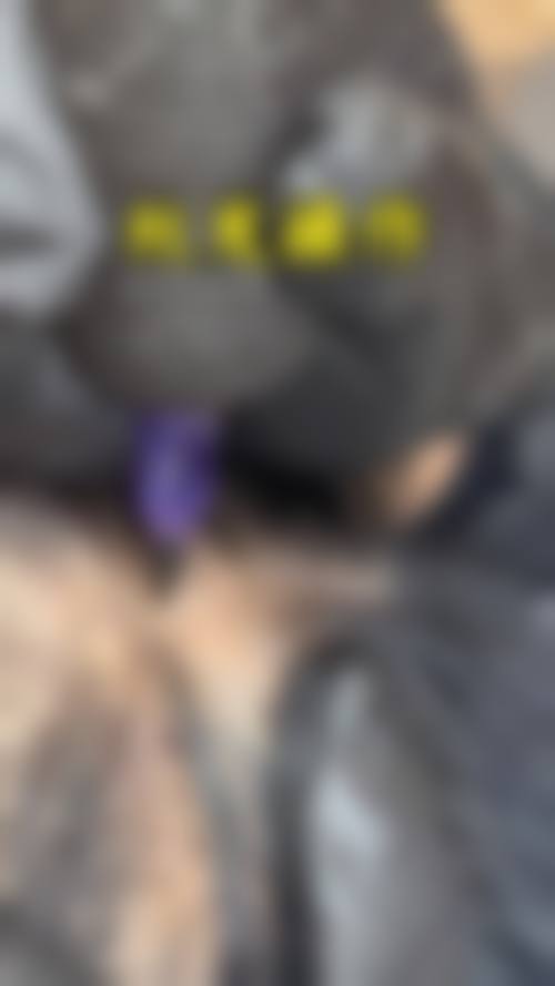 预约优惠活动：限时补贴不容错过