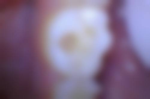 服务流程与价格透明度说明