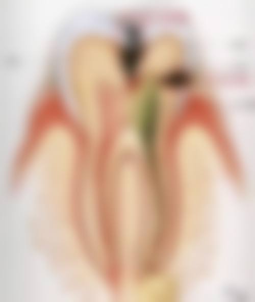 临床实例分享