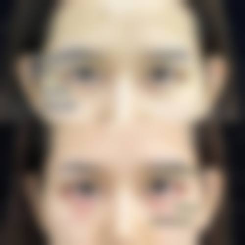 特色项目与技术优势展示