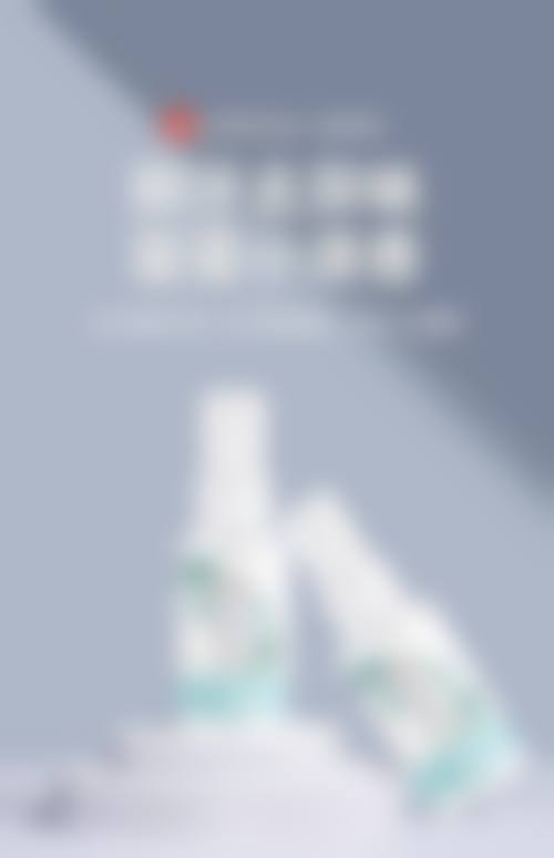 擅长项目详解