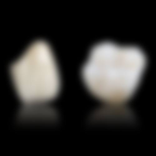 擅长项目详解:北京极简一站式魏公村口腔关中山核心技术