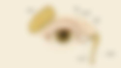 擅长项目详解