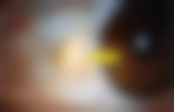 总结与预约指引