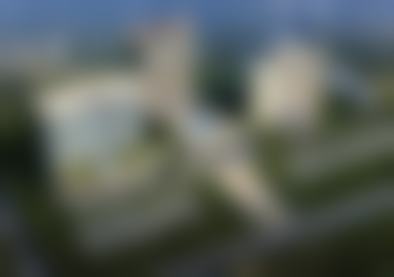 诊疗特色总结