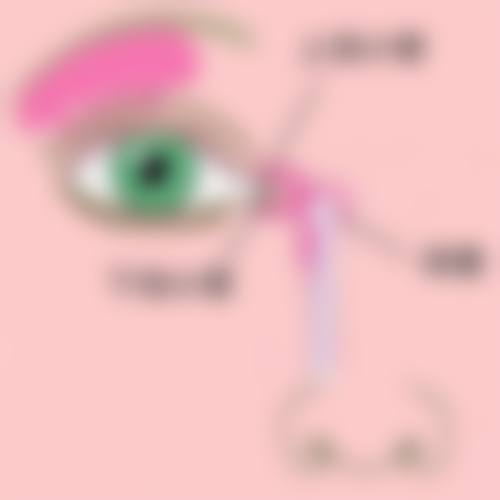 常见问题解答