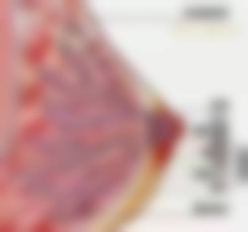 常见问题解答：预约与注意事项