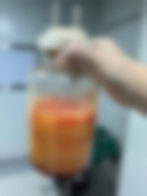 总结与预约指南