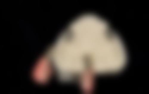 FAQ:关于北京皓尔佳艺口腔门诊部朱骏飞