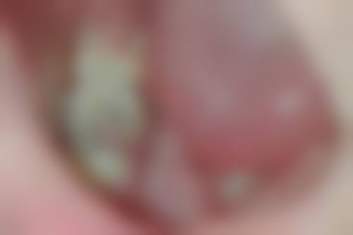 核心优势与特色项目