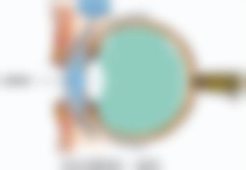 便捷就诊流程与常见问题解答