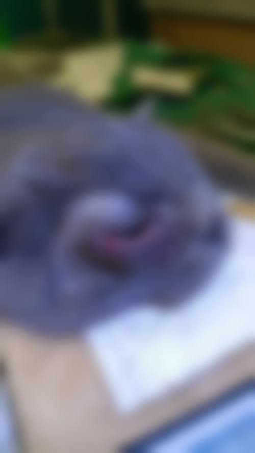 总结与预约指引