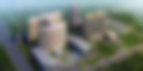 透明价格体系与服务流程