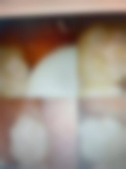 特色项目与价格优势