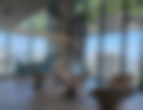 医生资质介绍:许月月医生的专精背景