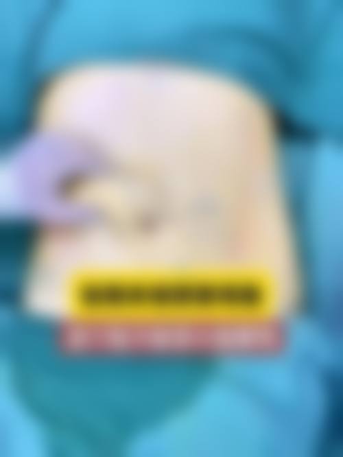 热门项目详解与价格参考