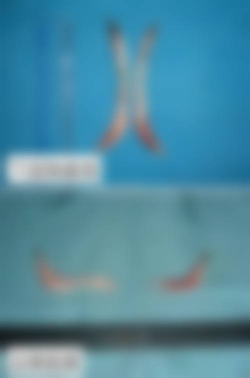 特色科室与高端设备配置