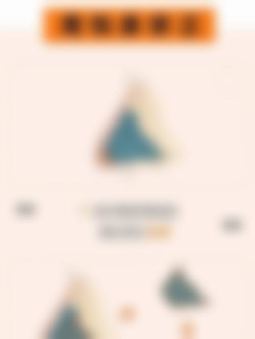 擅长项目详解
