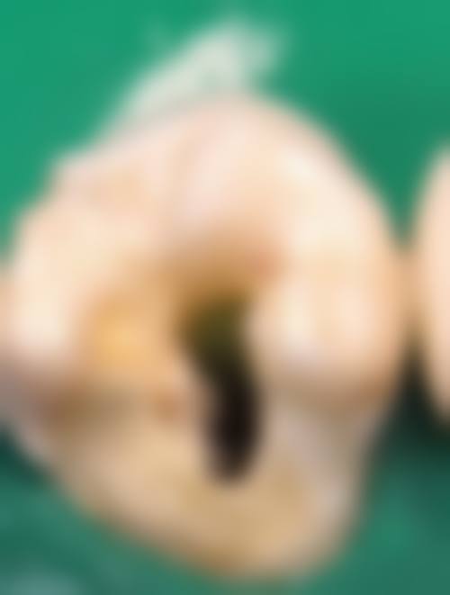 透明价格体系与优惠活动详情