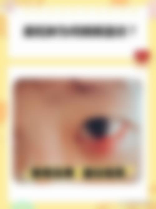 国有三等甲背景与具有影响力资质认证
