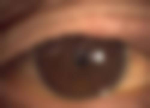 预约优惠活动